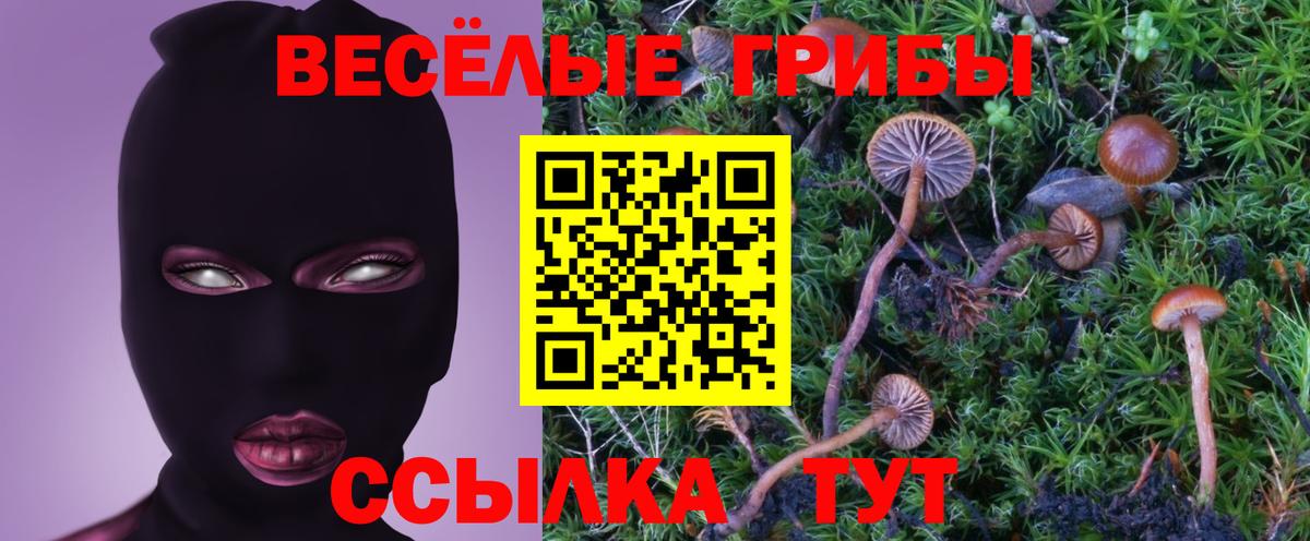 Курчатов  Галлюциногенные грибы мухоморы  Вход с VPN 