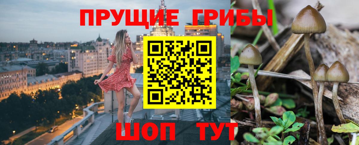 Псилоцибиновые грибы ЛСД Курчатов